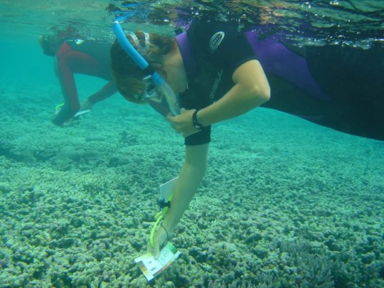 Coral surveys Rowley Shoals MP