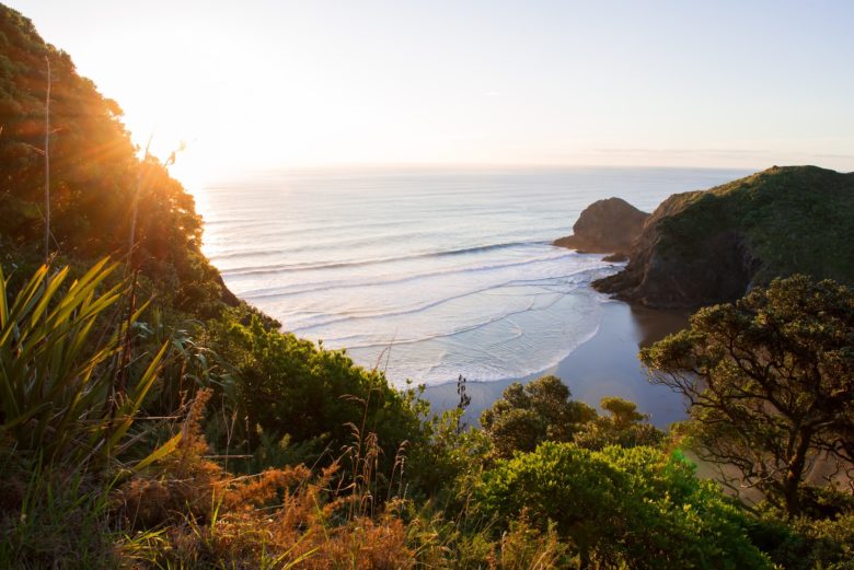 NEW ZEALAND Wild Nature